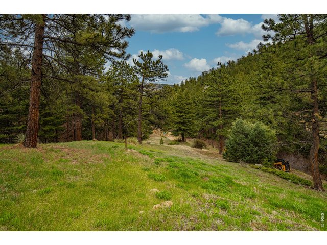 Property Photo 37 