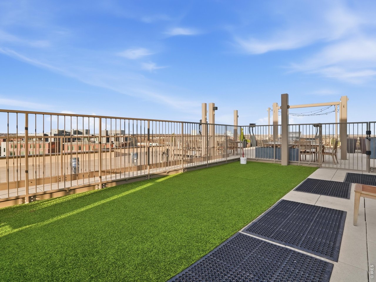 Rooftop Dog Park