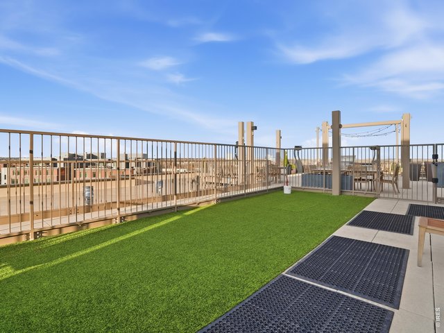 Property Photo 18 Rooftop Dog Park