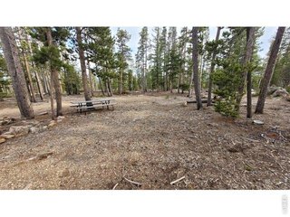 1421 Jicarilla Trl Red Feather Lakes, CO 80545