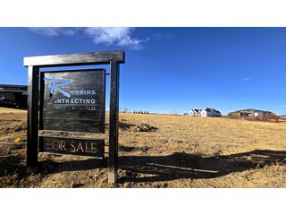 1508 Flowering Tree Ct Windsor, CO 80550