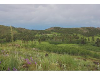 14884 Rist Canyon Rd Bellvue, CO 80512