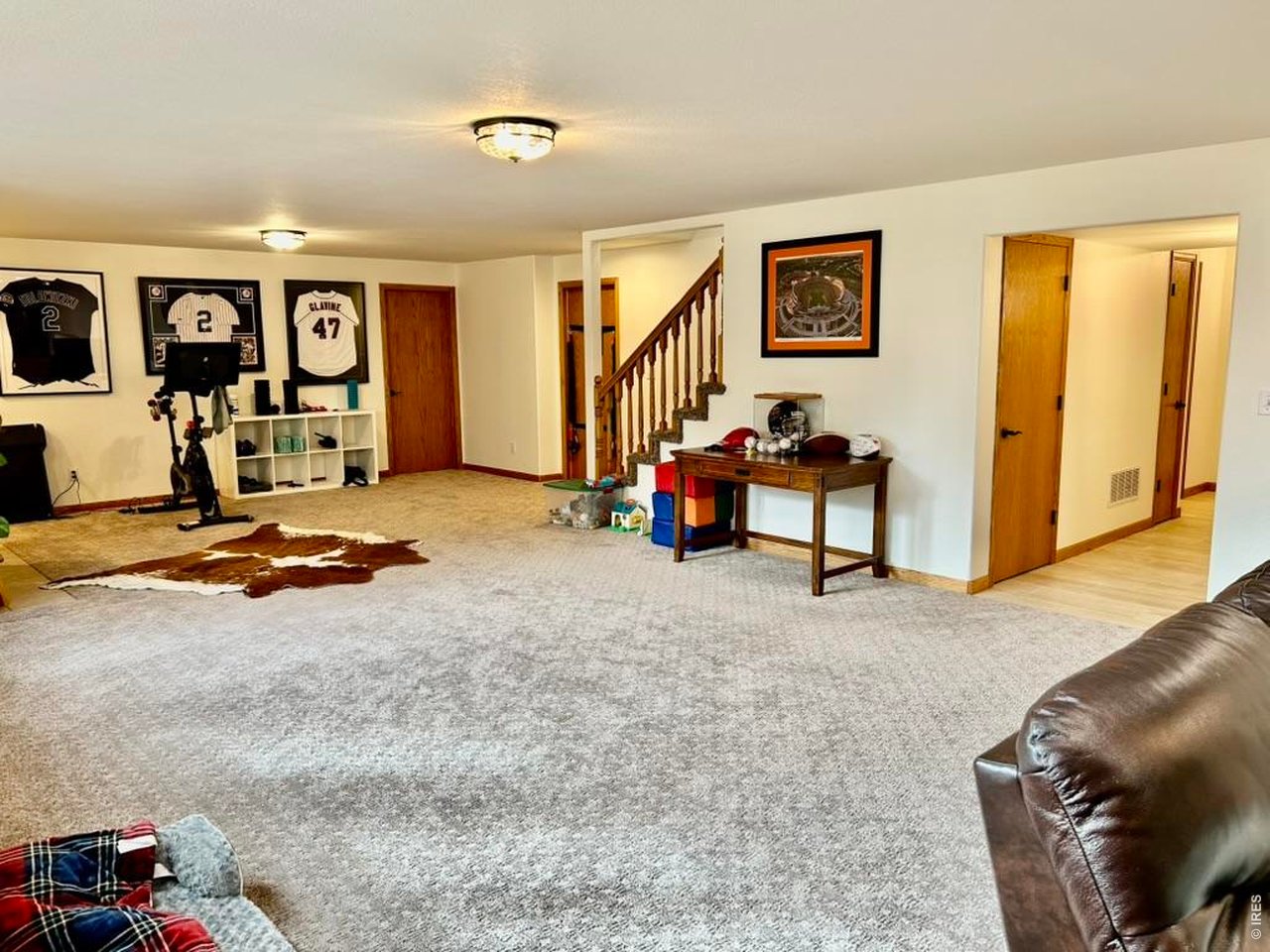 Family Room (Recently Updated Carpet)
