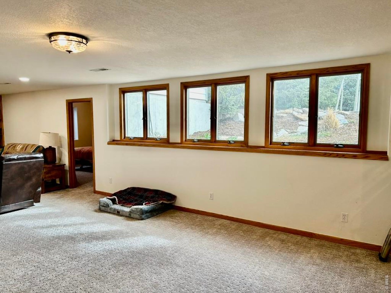 Basement Area With Garden Level View