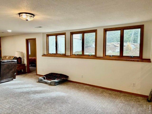Property Photo 40 Basement Area With Garden Level View