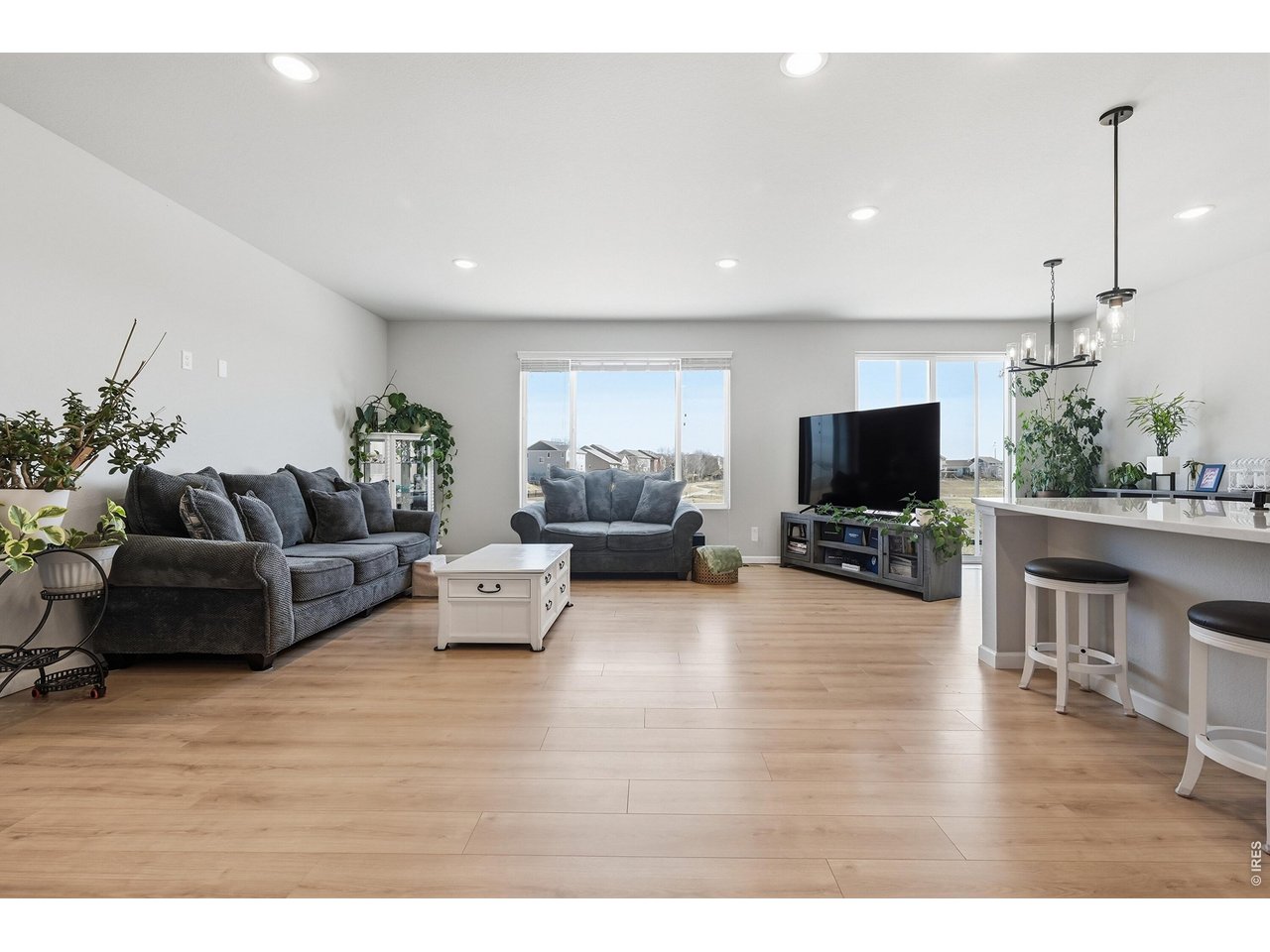 Light filled living room