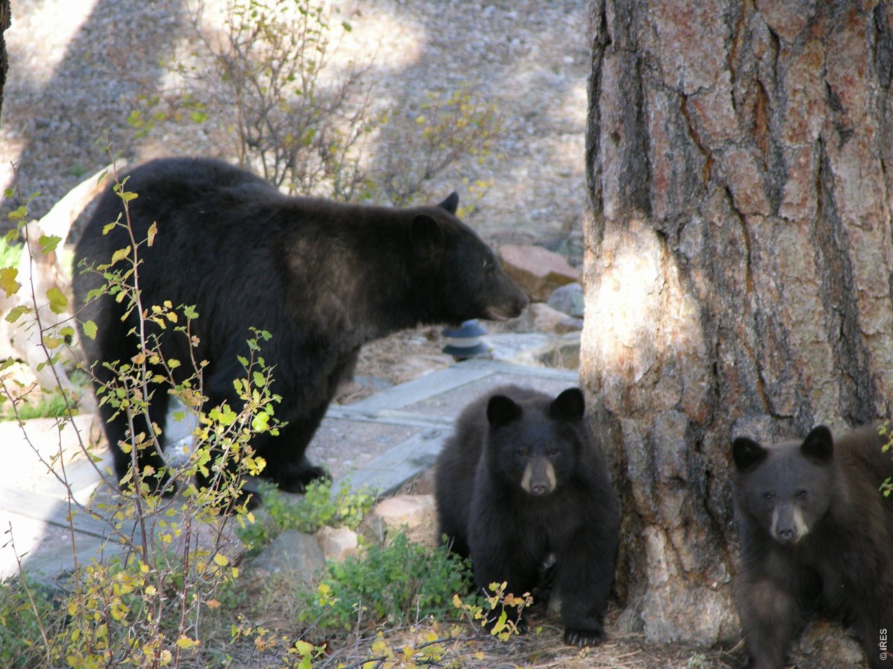 Enjoy the Wildlife