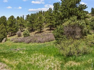 (TBD) Dunraven Glade Rd Glen Haven, CO 80532