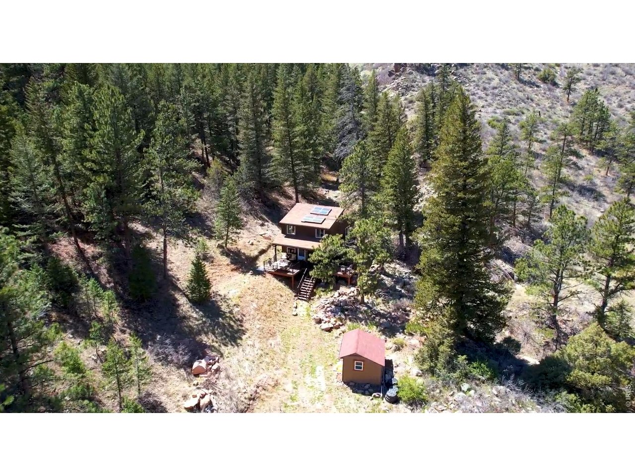 Nestled in the Pines
