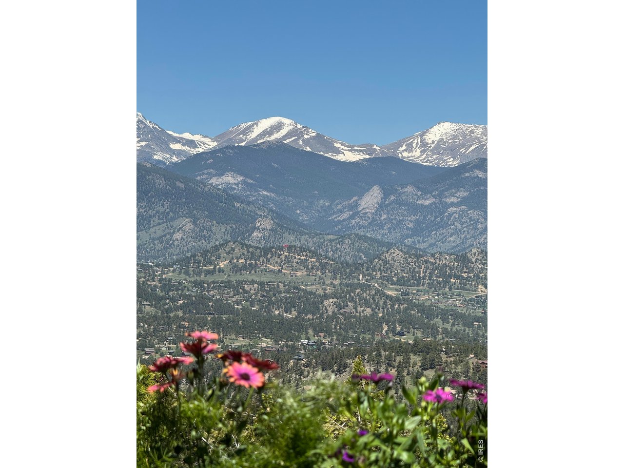 Exquisite Views