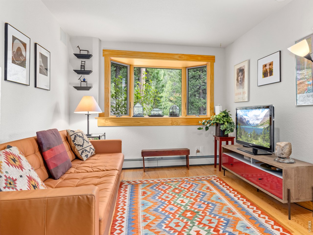 Bay Window with Forest Views