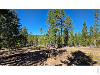 1367 Osage Trl Red Feather Lakes, CO 80545