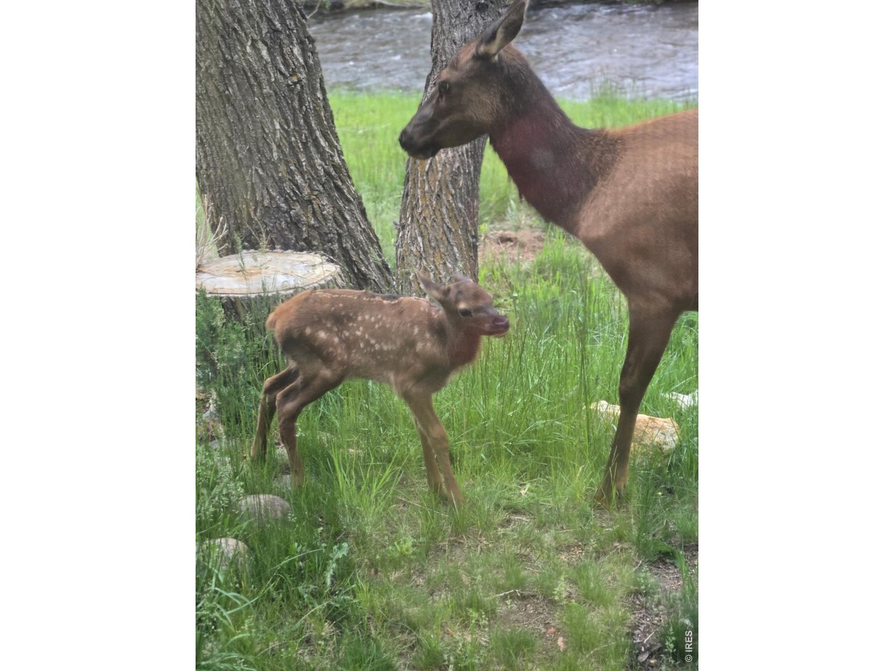 Unexpected guests