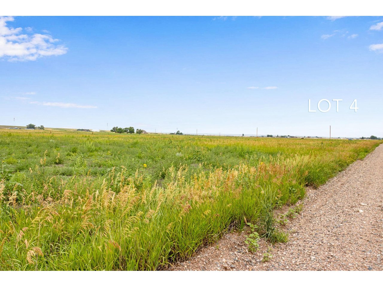Seize the opportunity to create your own haven in northern Colorado. Build your dream home with no HOA rules.