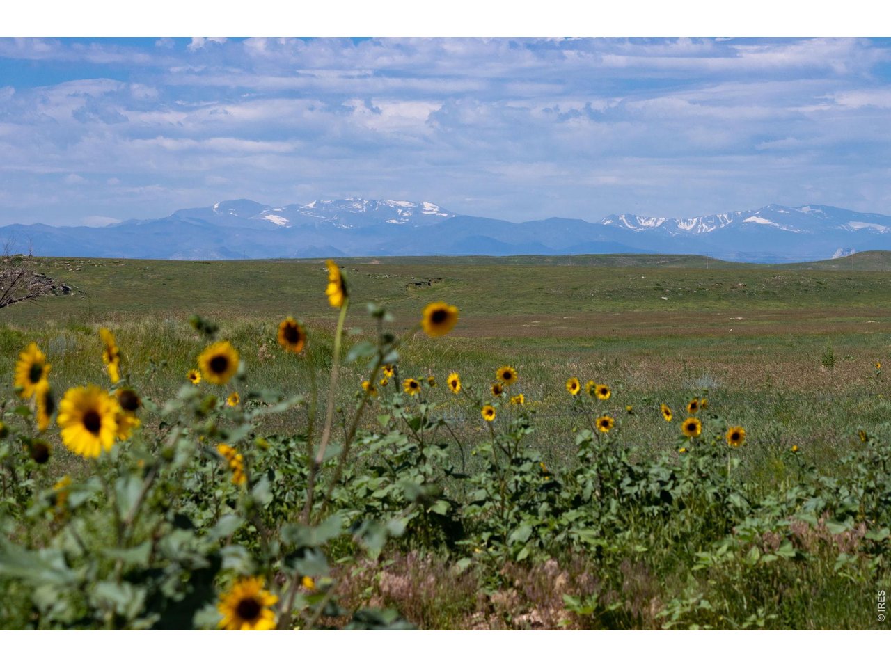 Discover the freedom to build your ideal home amidst vast, unspoiled landscapes in Carr, Colorado