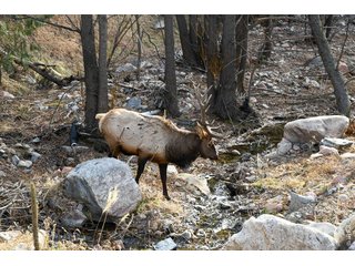 416 Black Creek Dr Glen Haven, CO 80532