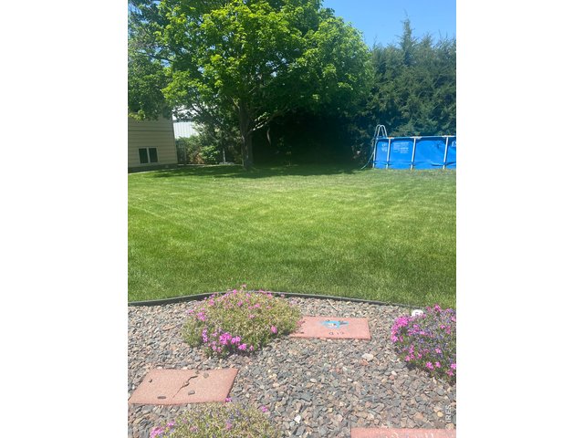 Property Photo 33 Pool Stays! (Can be removed upon request) Photo Summer 2025