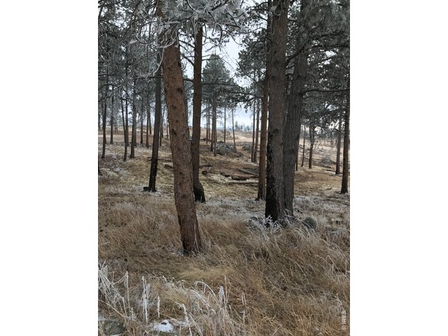 Property Photo 27 