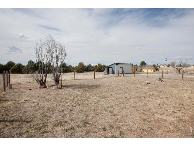 Property Photo 39 Back/Shed