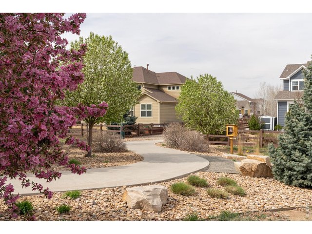 Property Photo 42 