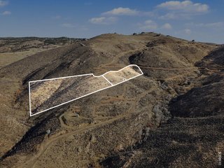1634 Horse Mountain Dr Livermore, CO 80536