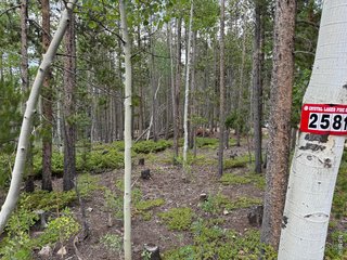 2581 Shoshoni Dr Red Feather Lakes, CO 80545