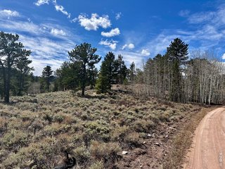 43 Chetco Ct Red Feather Lakes, CO 80545