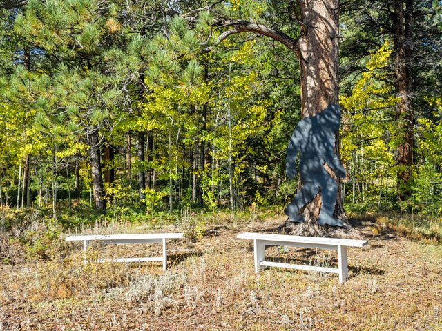 Property Photo 44 Level 3.25 acre site