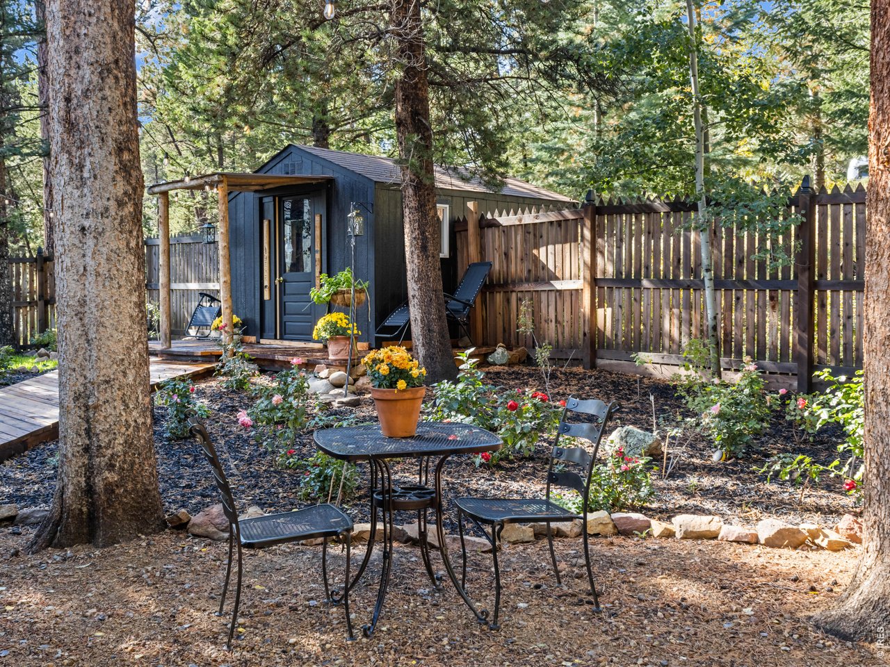Backyard magic