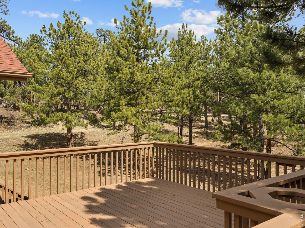 Side deck overlooks the pines