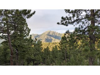 1312 Chute Rd Golden, CO 80403