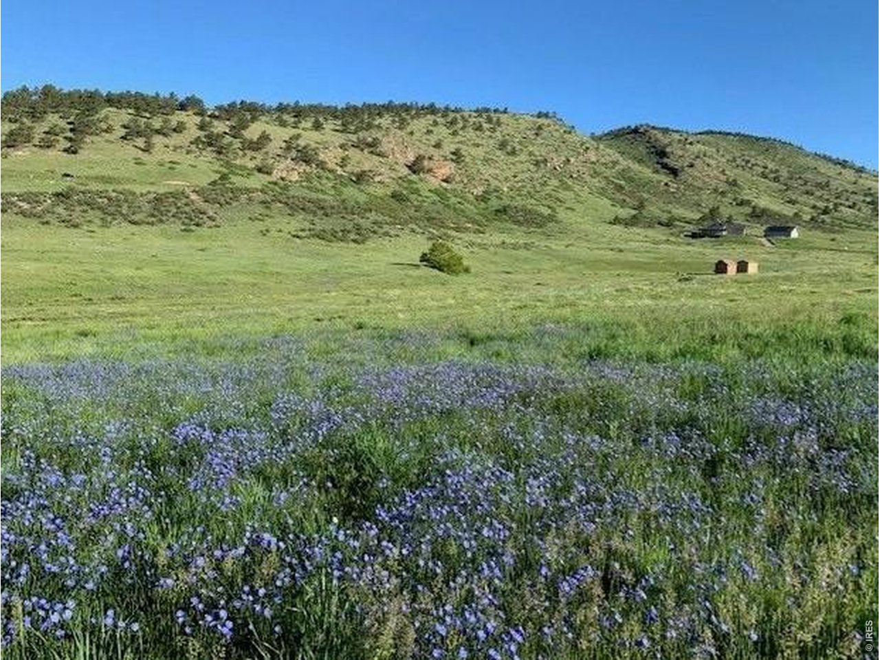 Heavenly oasis, nearly 22 acres -lush & green the perfect area for your next custom home.