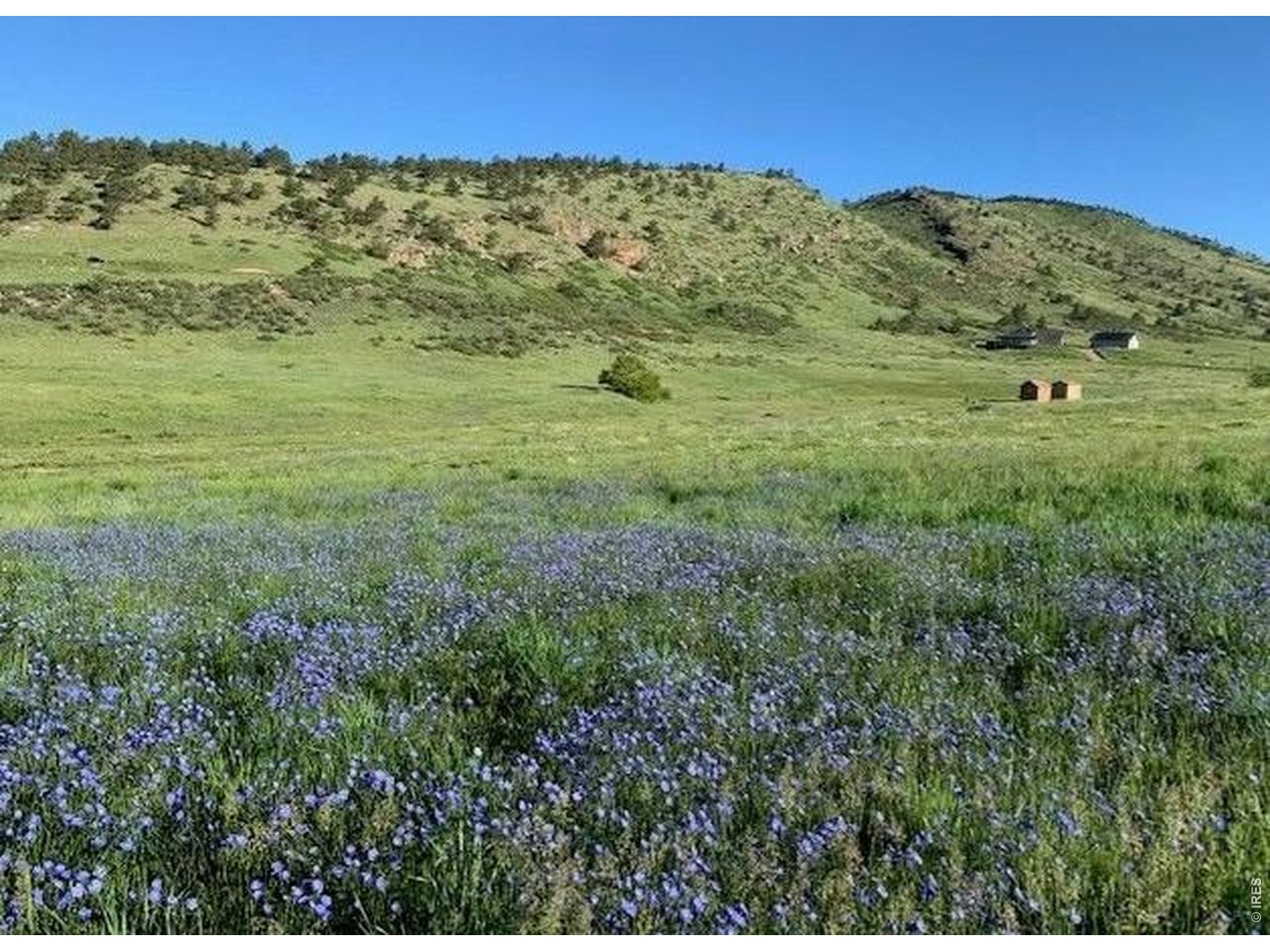 Natural Meadows abound