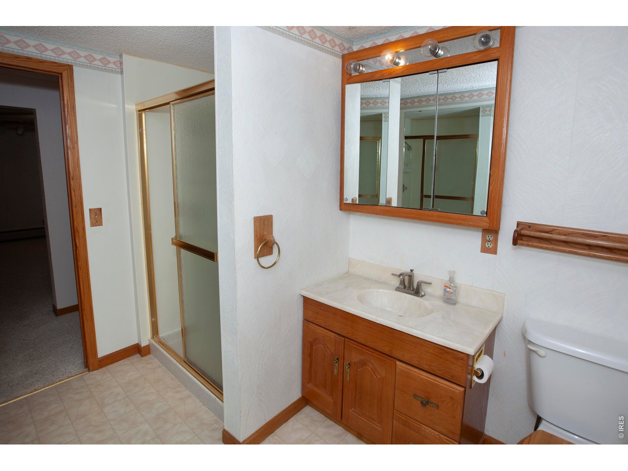 Basement Bathroom