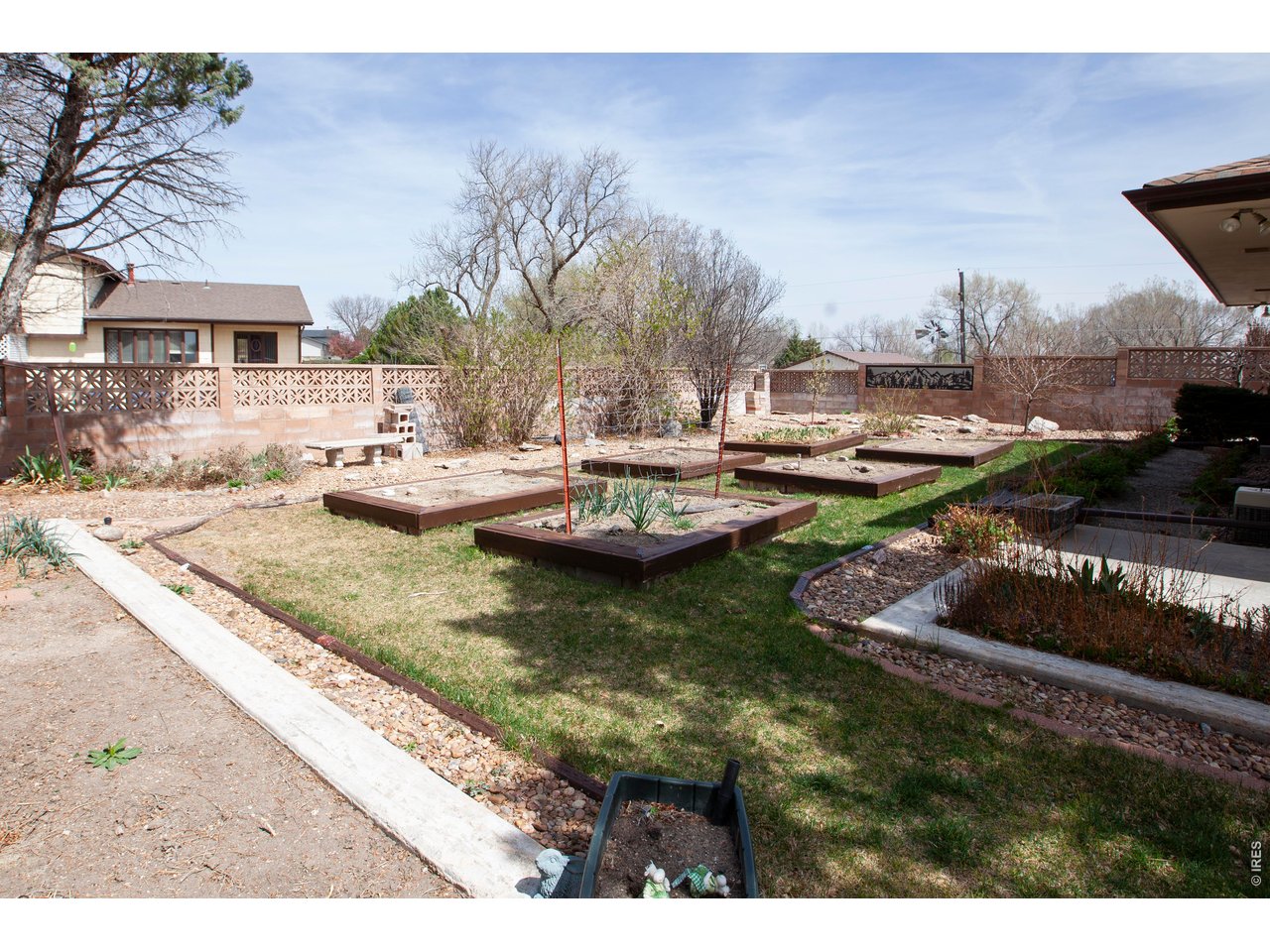 Backyard Garden
