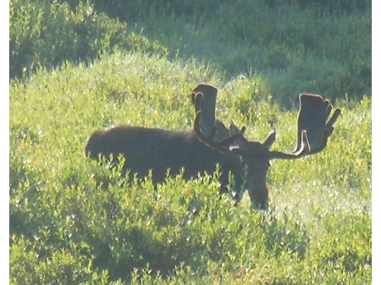 Plenty of wildlife to enjoy