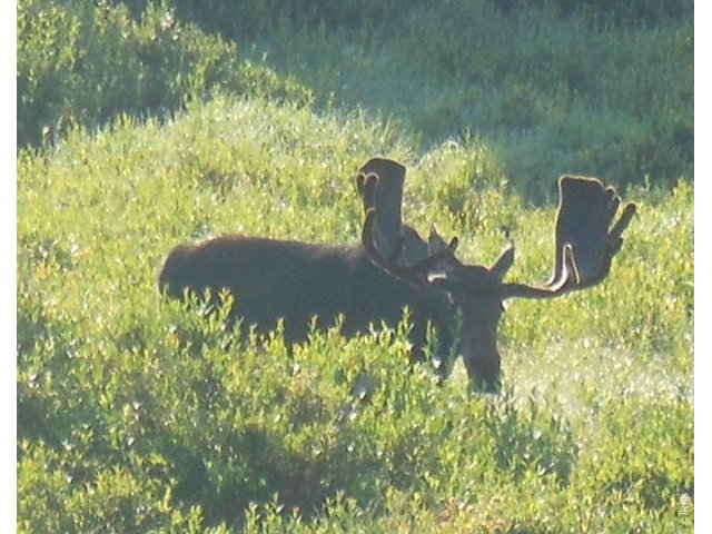 Property Photo 47 Plenty of wildlife to enjoy