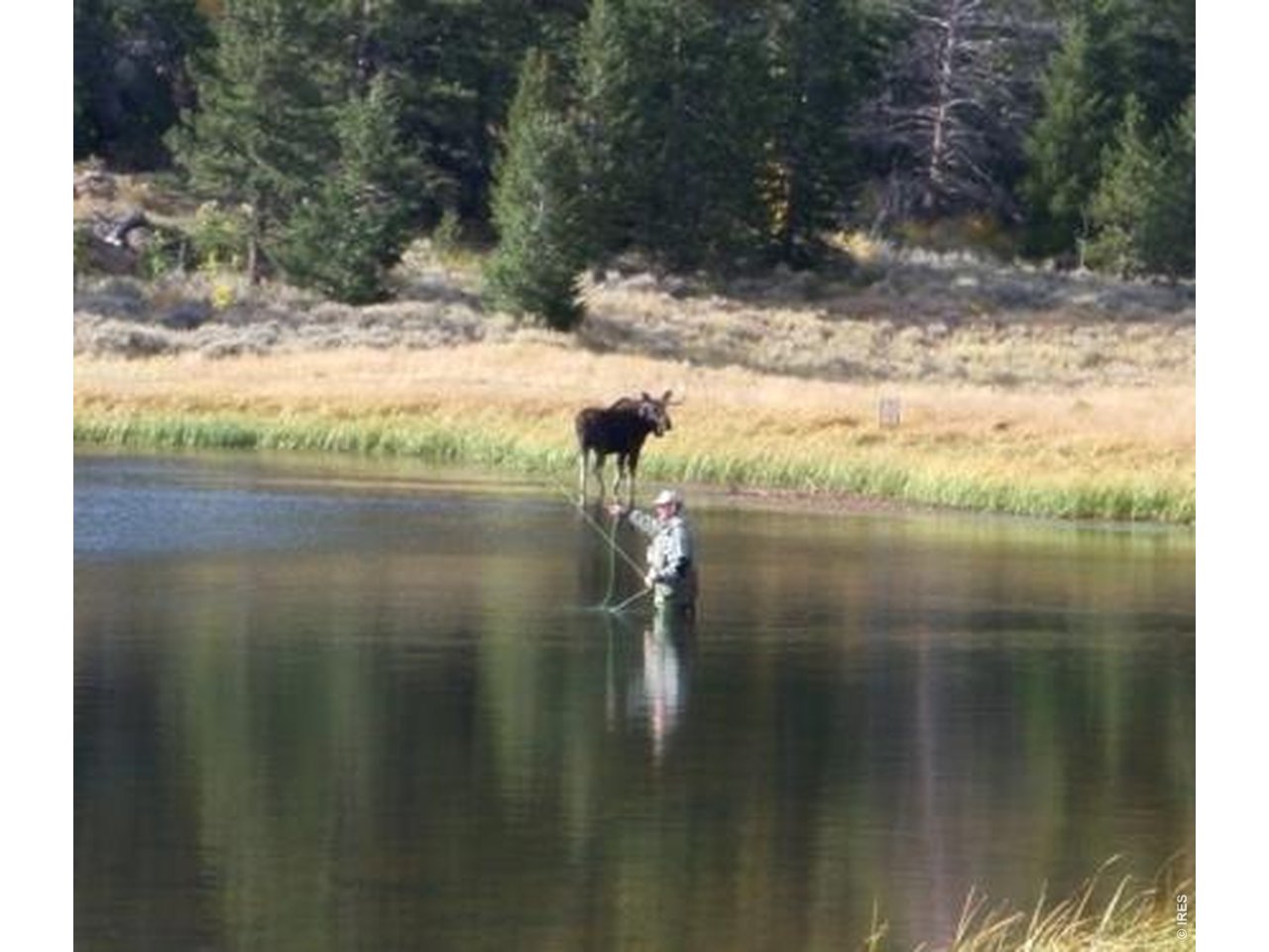 Several lakes for kayaking & fishing 