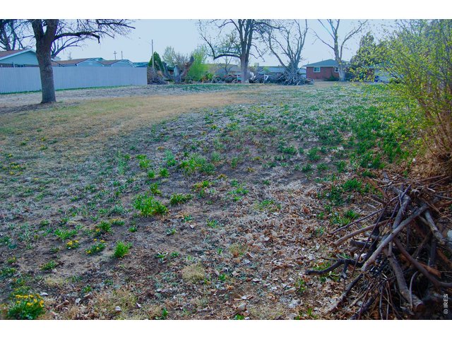Property Photo 14 Slight Slope in this Eastern Corner