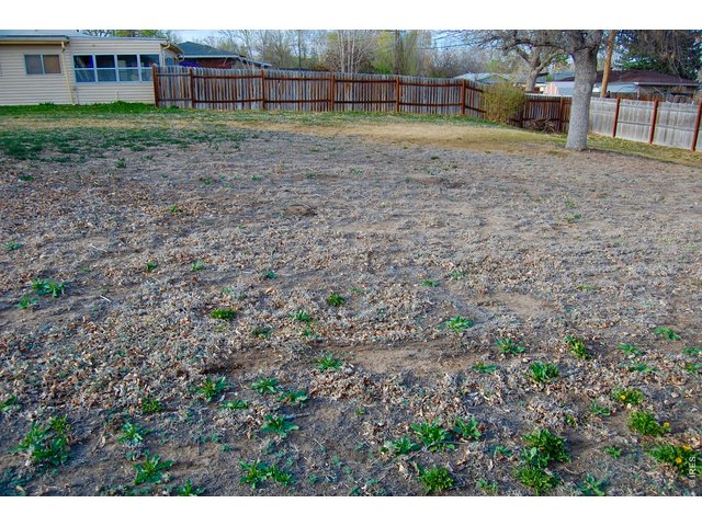 Property Photo 18 
