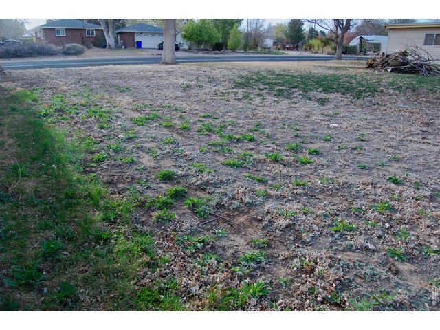 Property Photo 19 Irrigation lines ran