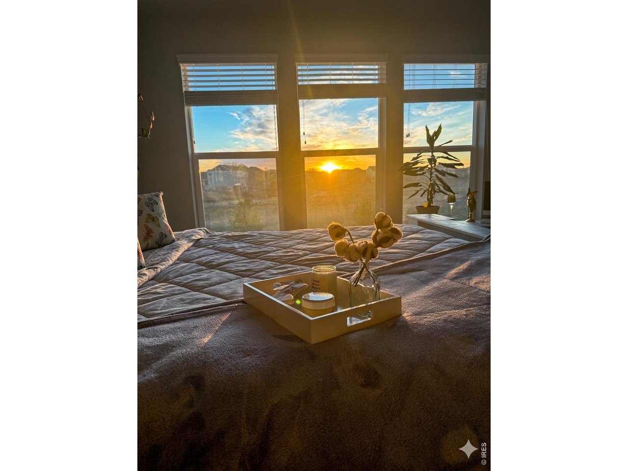 The view while sipping that first cup of coffee