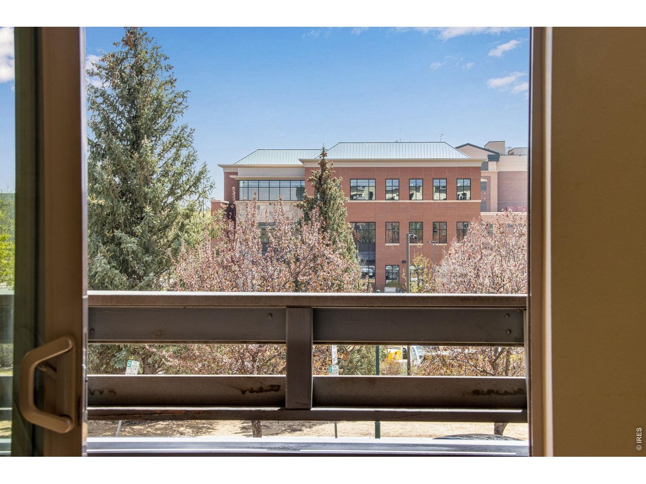 Overlooking Beautiful Old Town Fort Collins