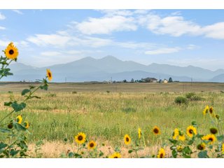 1 CR 19 Fort Collins, CO 80524