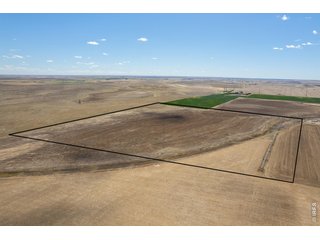 (TBD) County Road 3 Wiggins, CO 80654