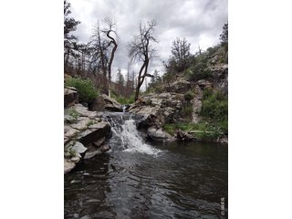 439 Redtail Ridge Way Bellvue, CO 80512