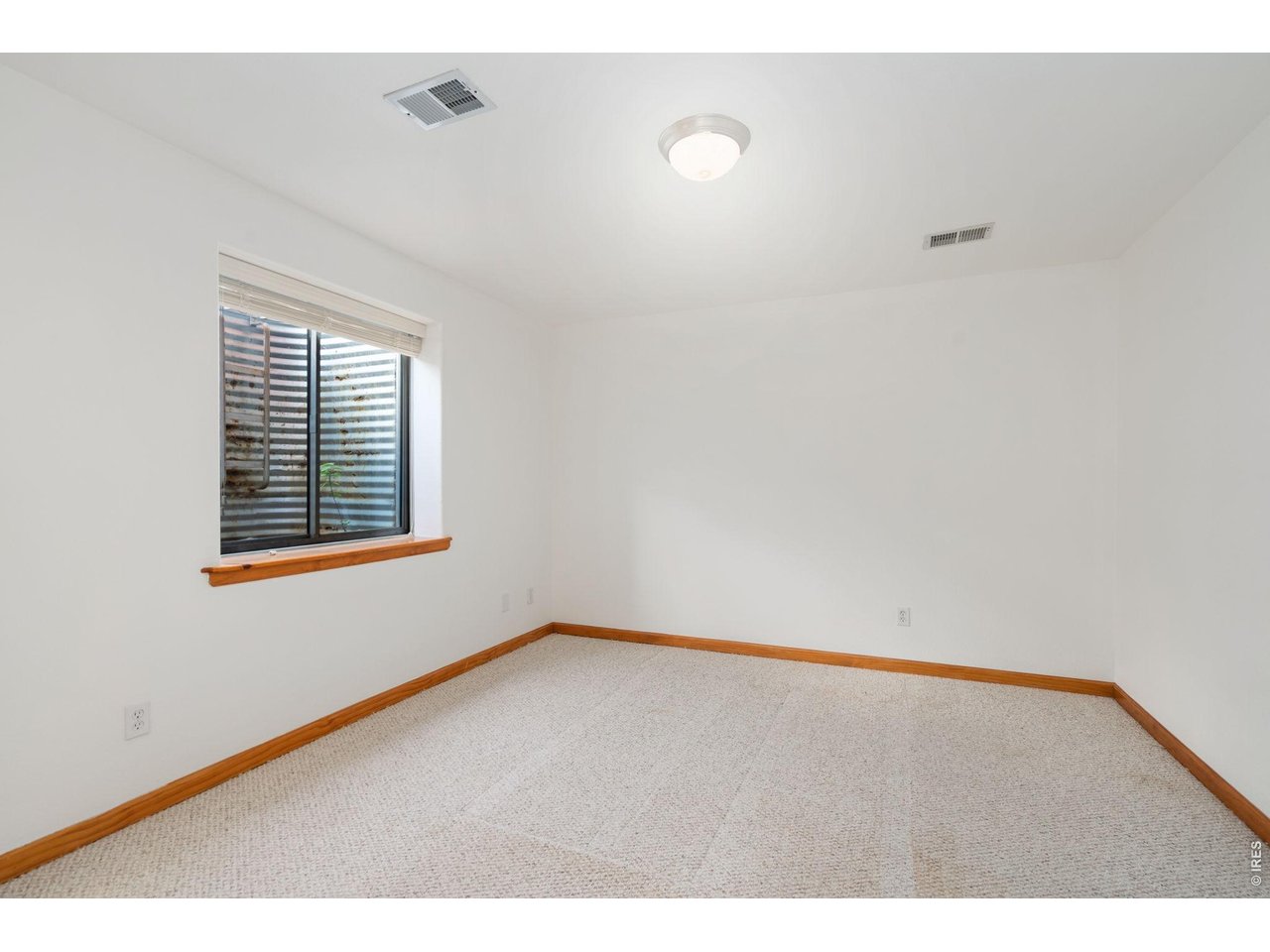 Bedroom 5- Basement