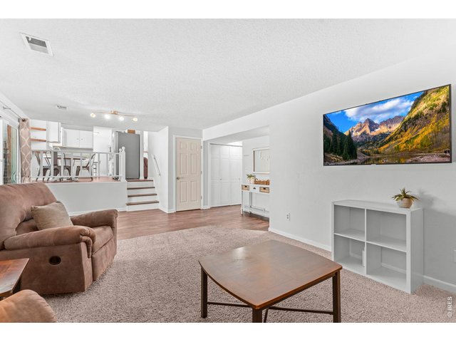 Property Photo 18 Open living with the lower level living room open to kitchen area
