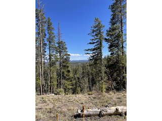 66 Piegan Ct Red Feather Lakes, CO 80545