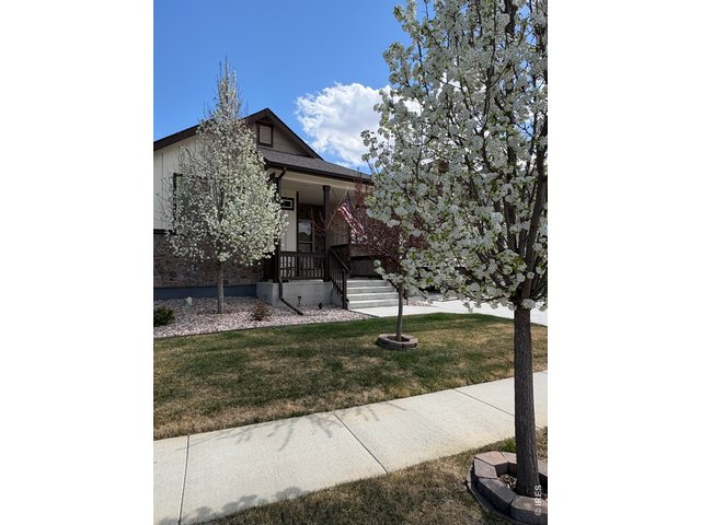 Property Photo 7 
